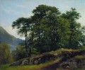 Bosque de hayas en Suiza 1863 paisaje clásico Ivan Ivanovich